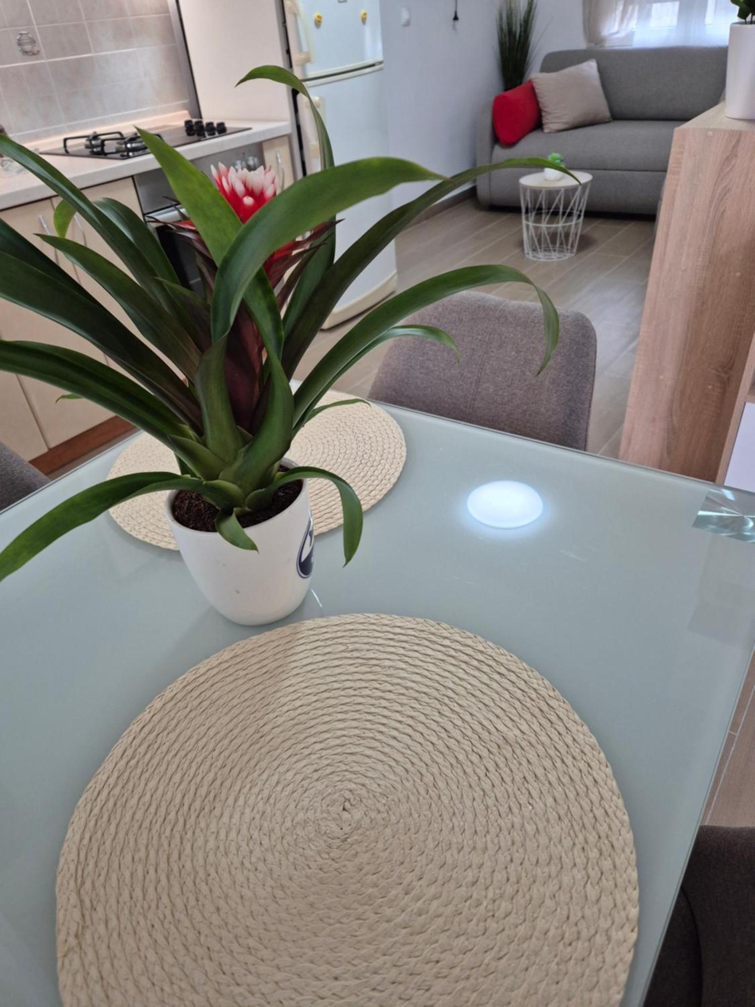Apartments Duje Split Room photo